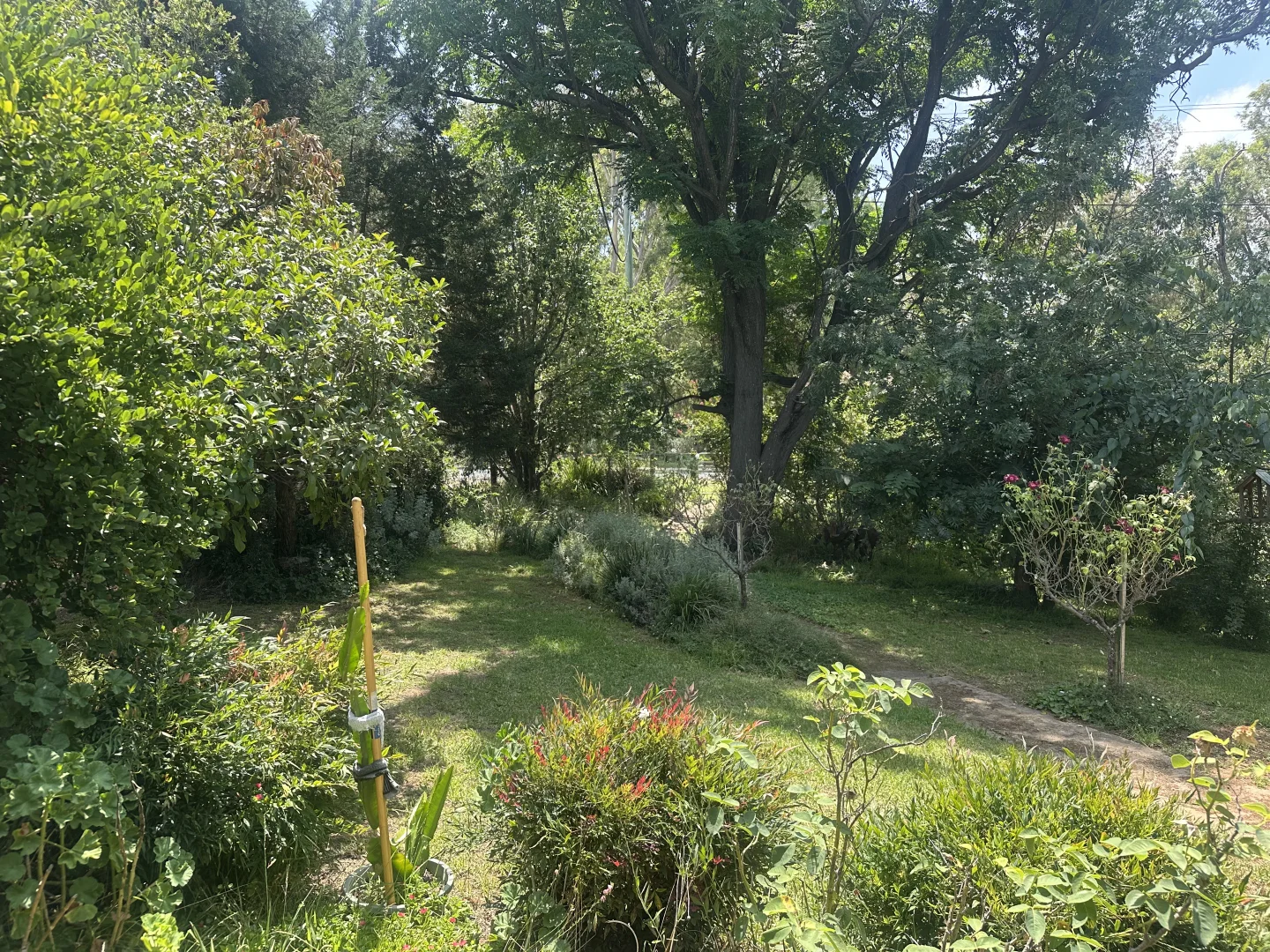 Additional image 31 of Cloudy Hill/82 Goddard Street, Coolah NSW 2843