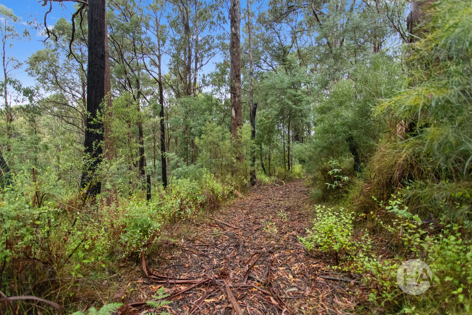 Additional image 3 of 10/4 Old Coach Road, Walhalla VIC 3825