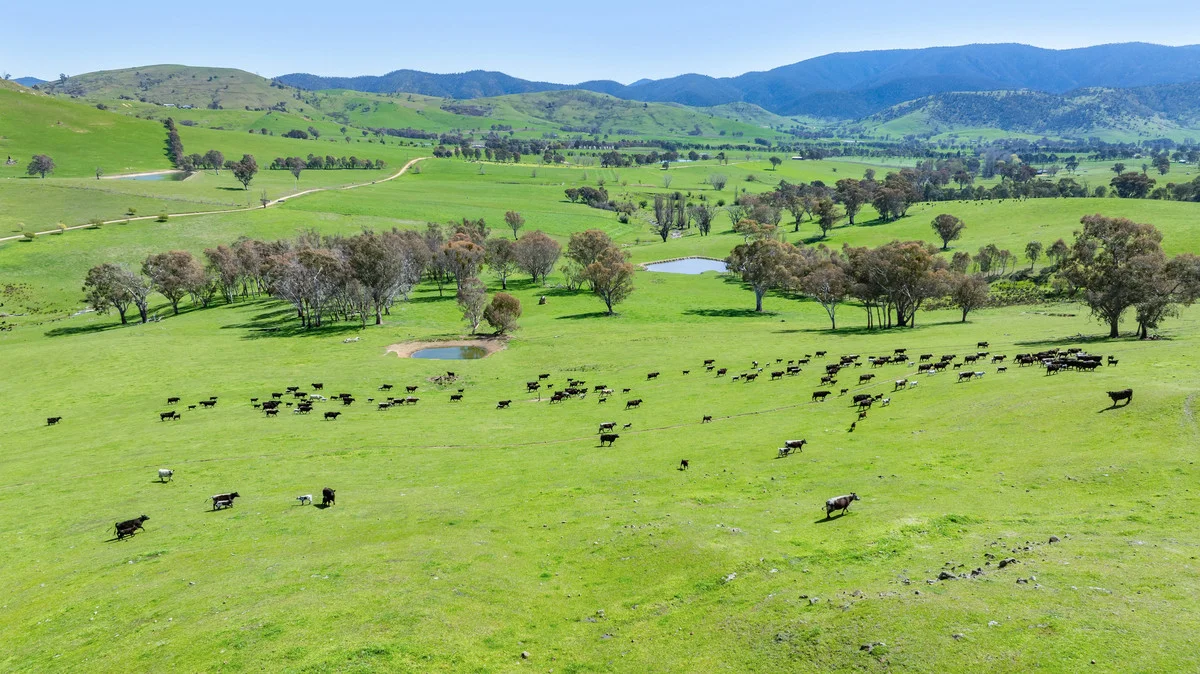 Additional image 5 of 12 Evans Road, Cudgewa VIC 3705