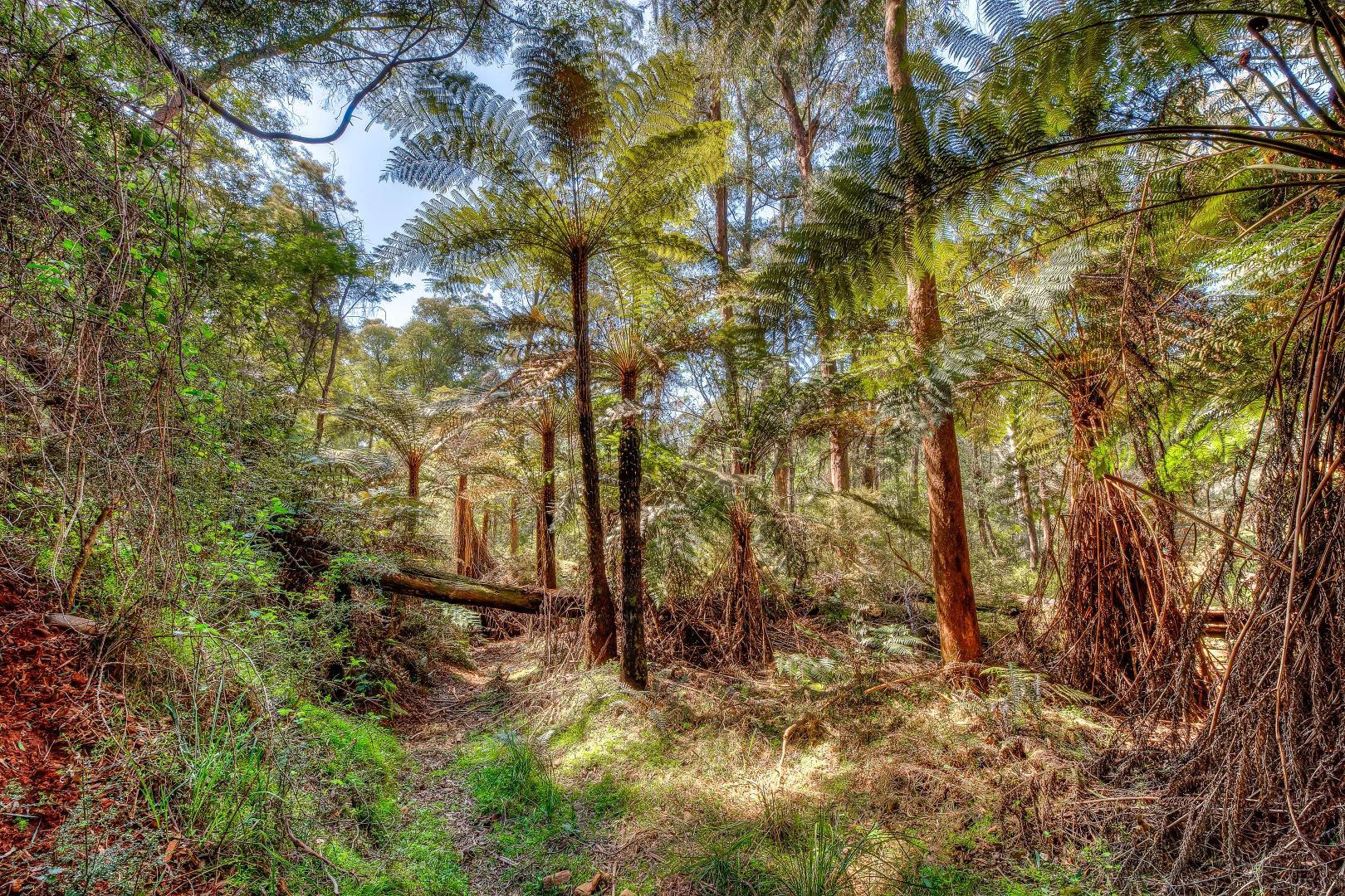 Additional image 20 of 42 Goldie Spur Track, Bright VIC 3741
