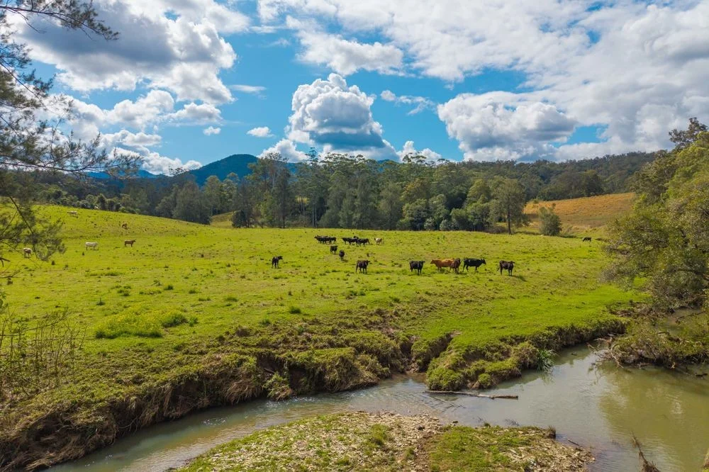 Additional image 18 of 3643 Taylors Arm Road, Burrapine NSW 2447