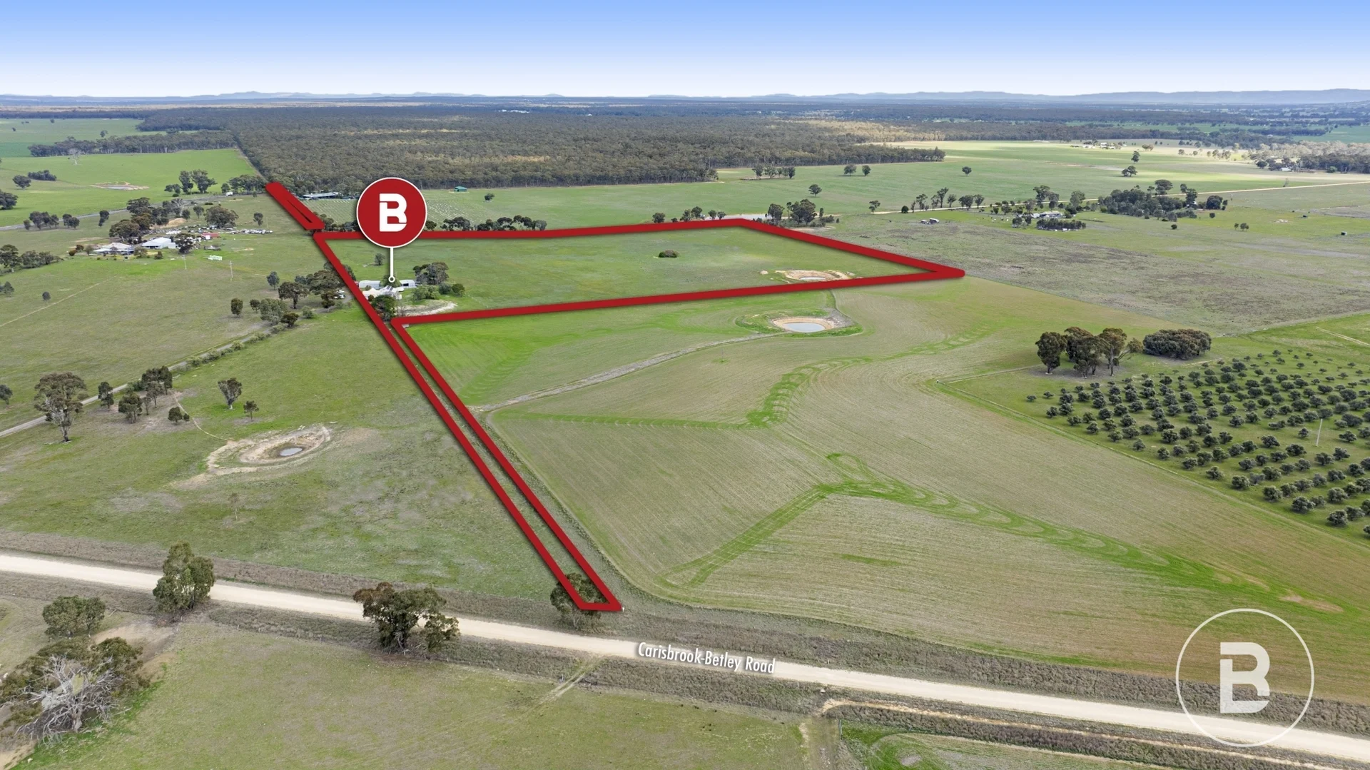 Additional image 23 of 291 Carisbrook-Betley Road, Betley VIC 3472