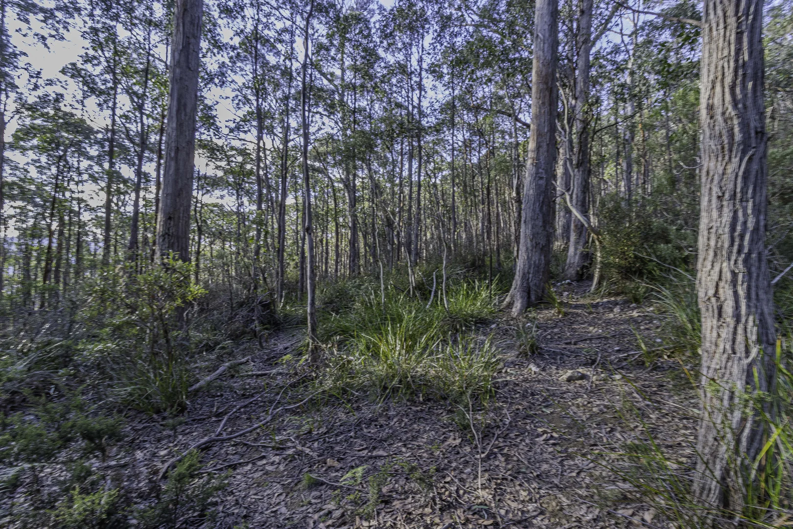 Additional image 22 of Franklin TAS 7113