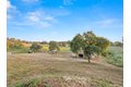 Additional image 48 of 22452 Goldrush Ln, Clovis, CA, 93619