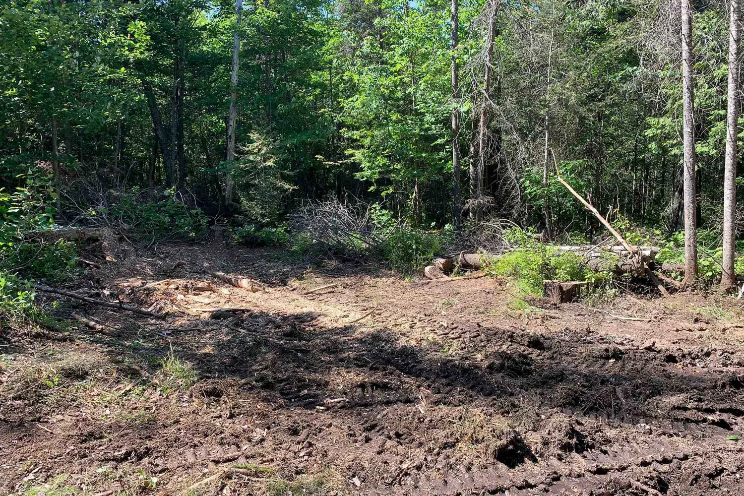 Additional image 5 of 522 Albert Street