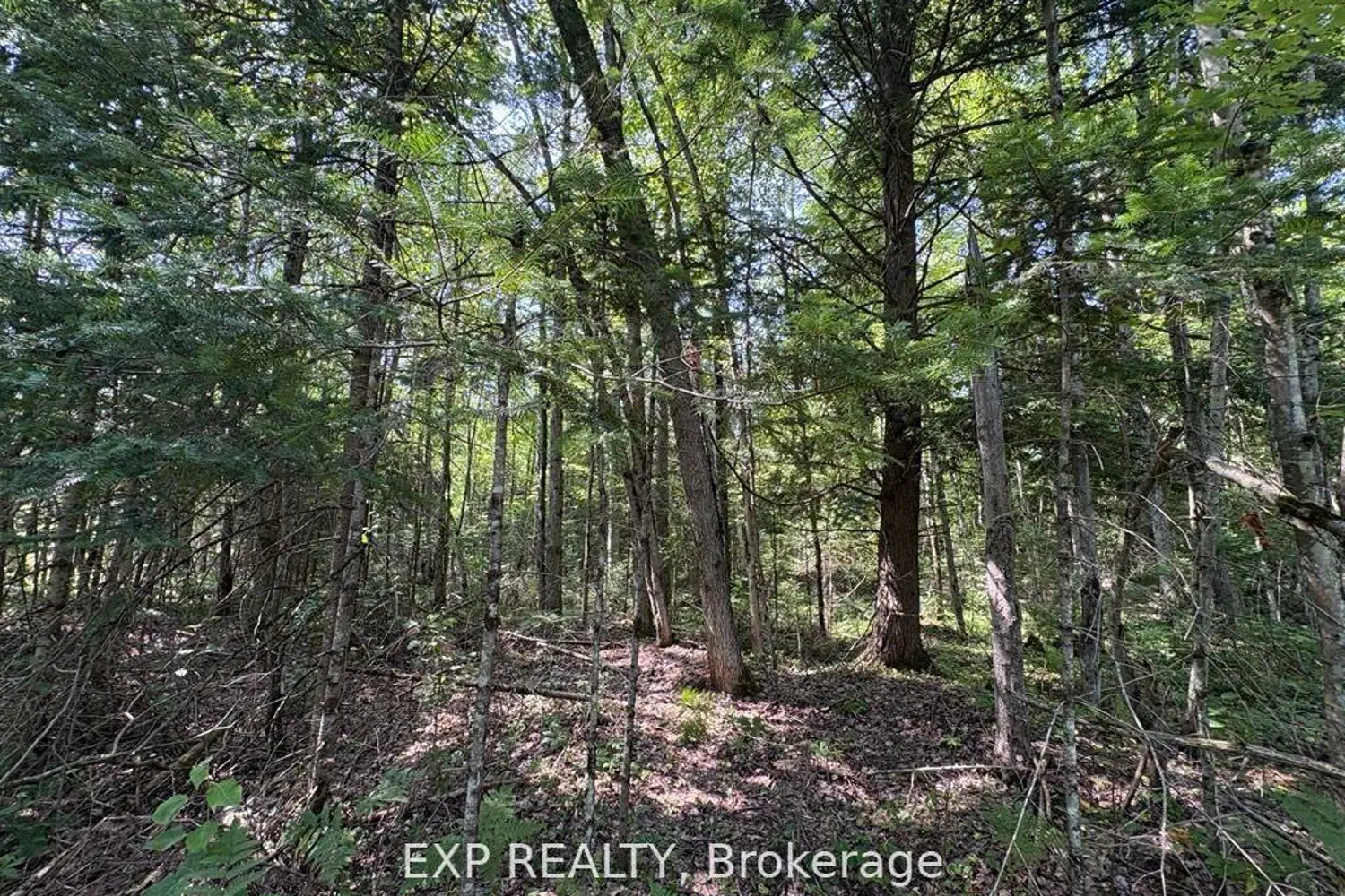 Additional image 3 of 0 Lot 1 Conc. 2 Part 4 Boundary Road