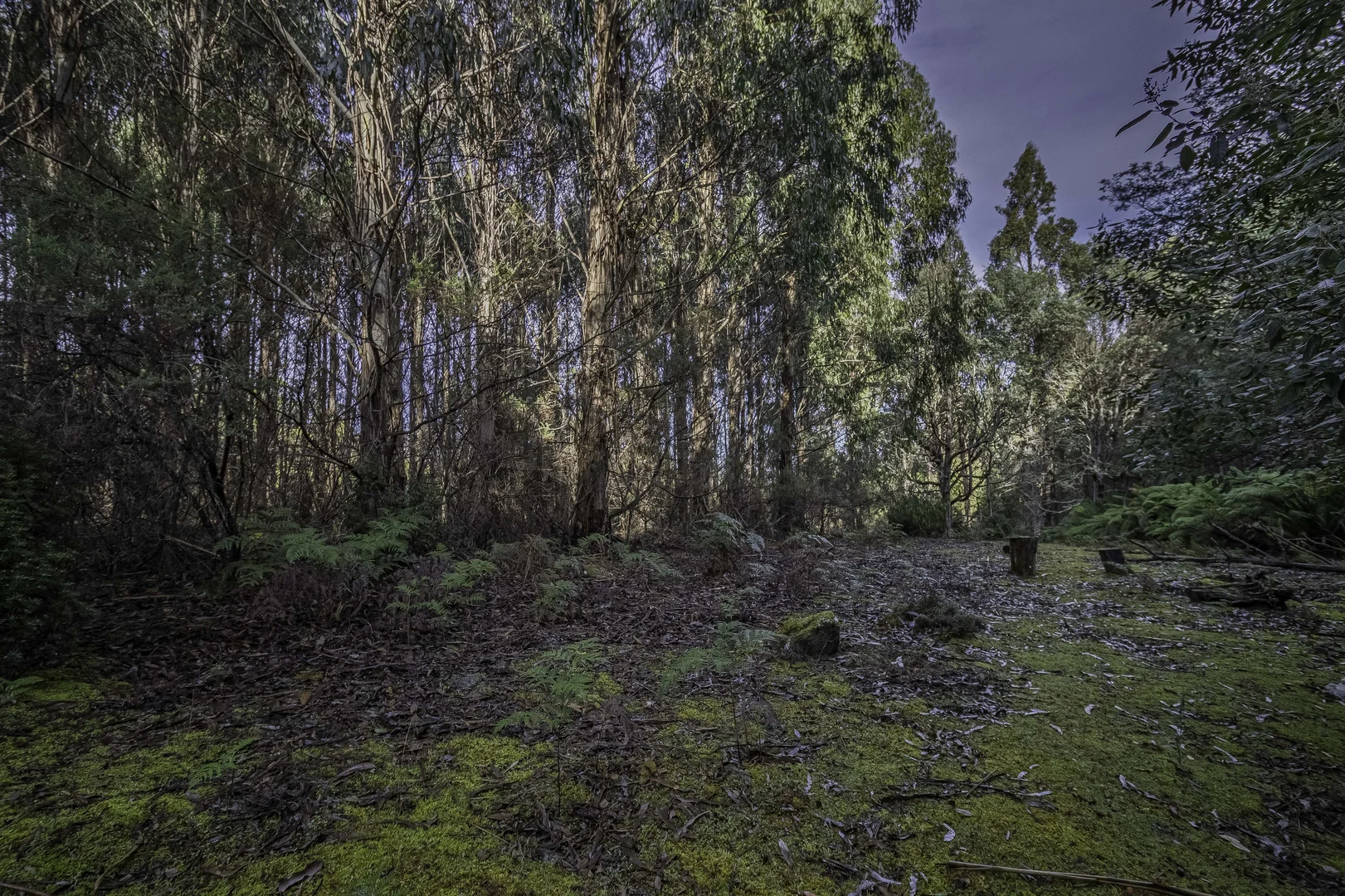 Additional image 18 of Judbury TAS 7109