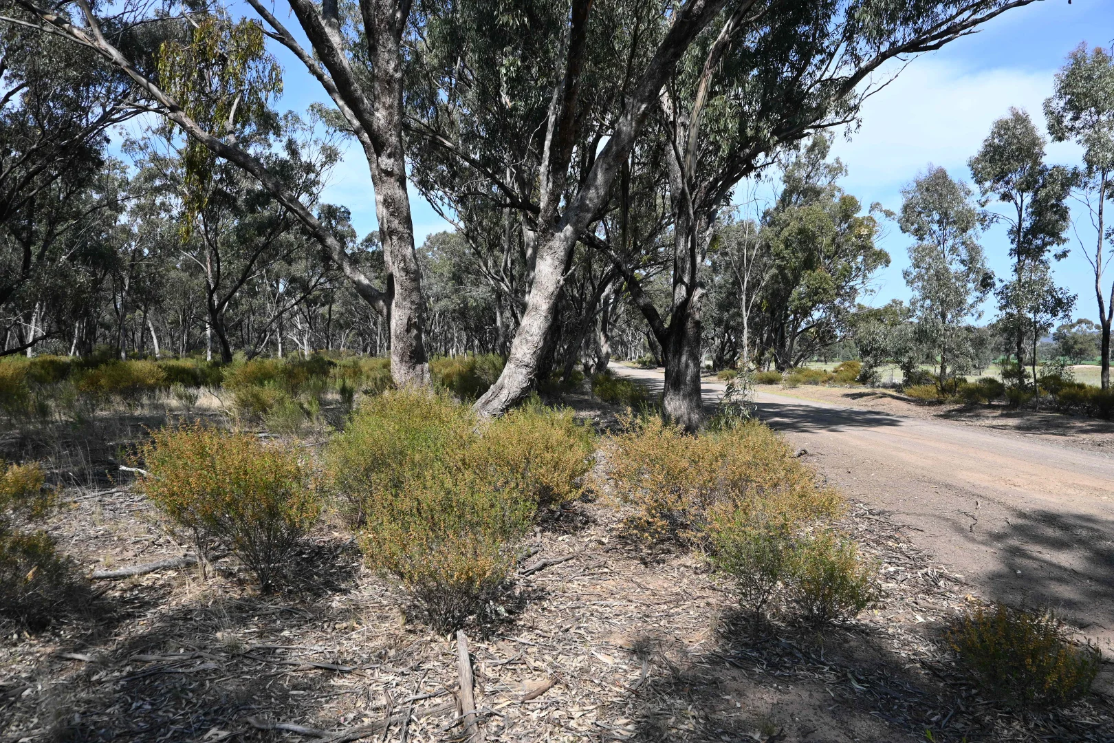 Additional image 7 of 17, A KURTING KINGOWER ROAD, Kingower VIC 3517
