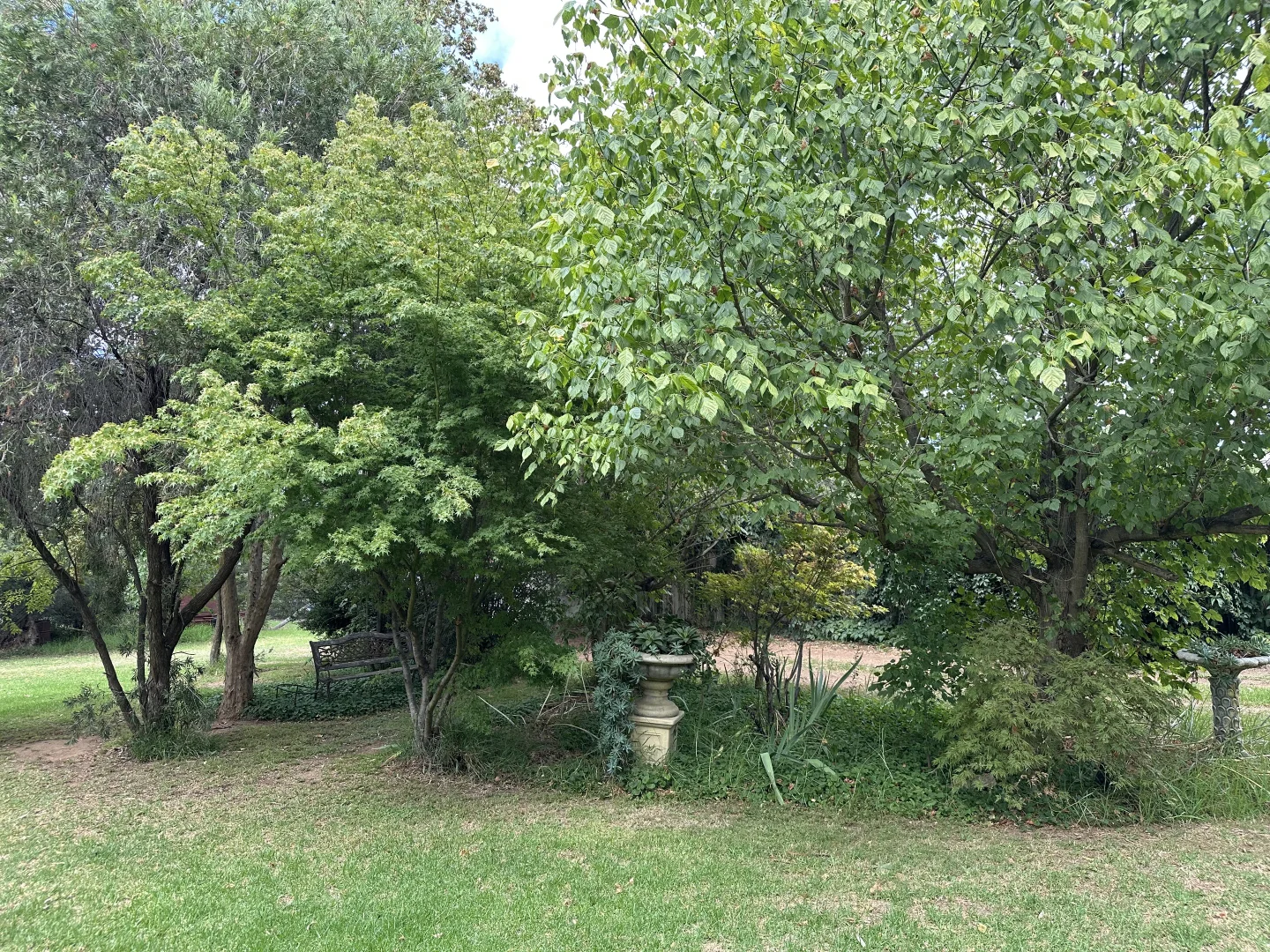 Additional image 28 of Cloudy Hill/82 Goddard Street, Coolah NSW 2843