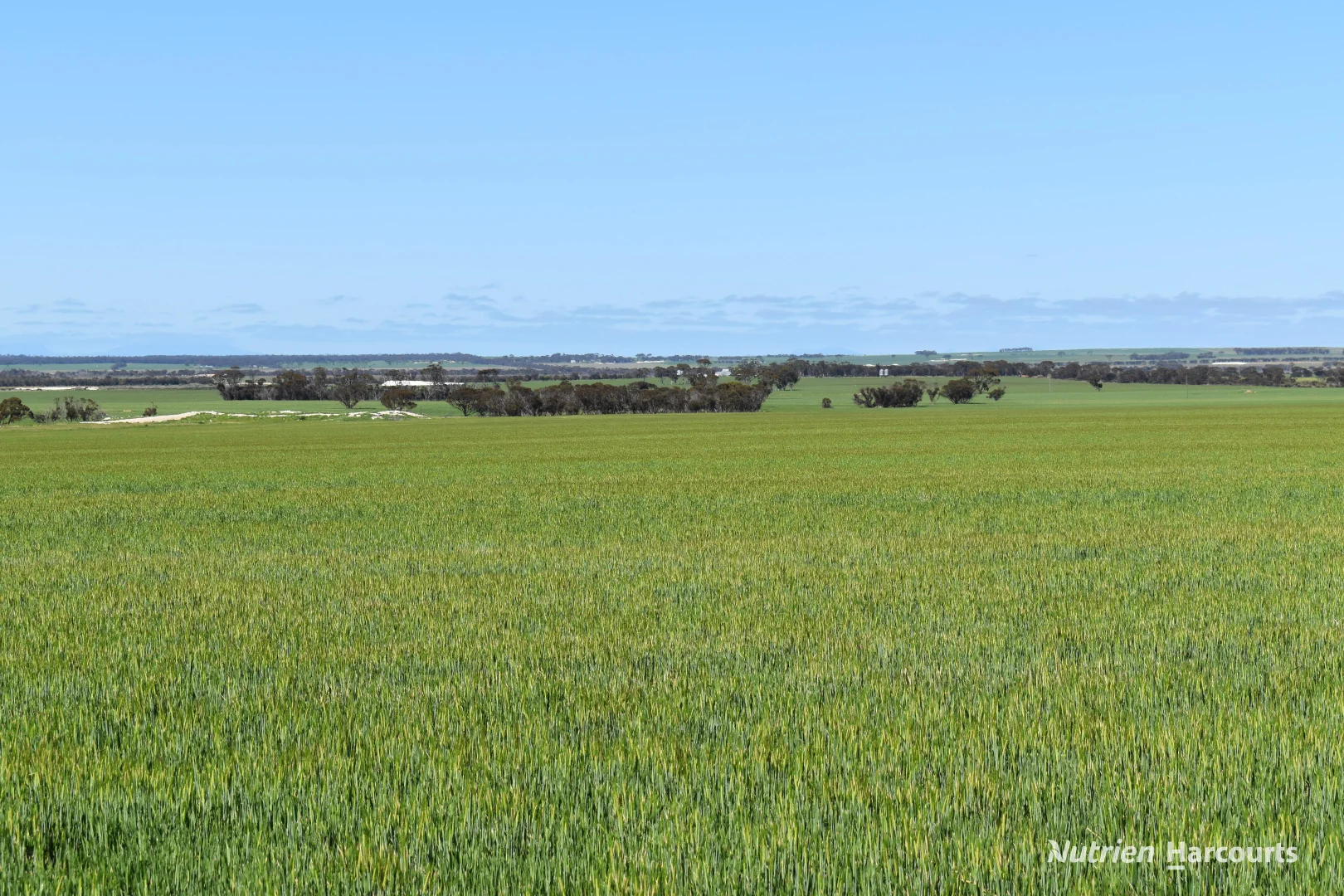 Additional image 19 of 1630 Mindarabin Road, Mindarabin WA 6336