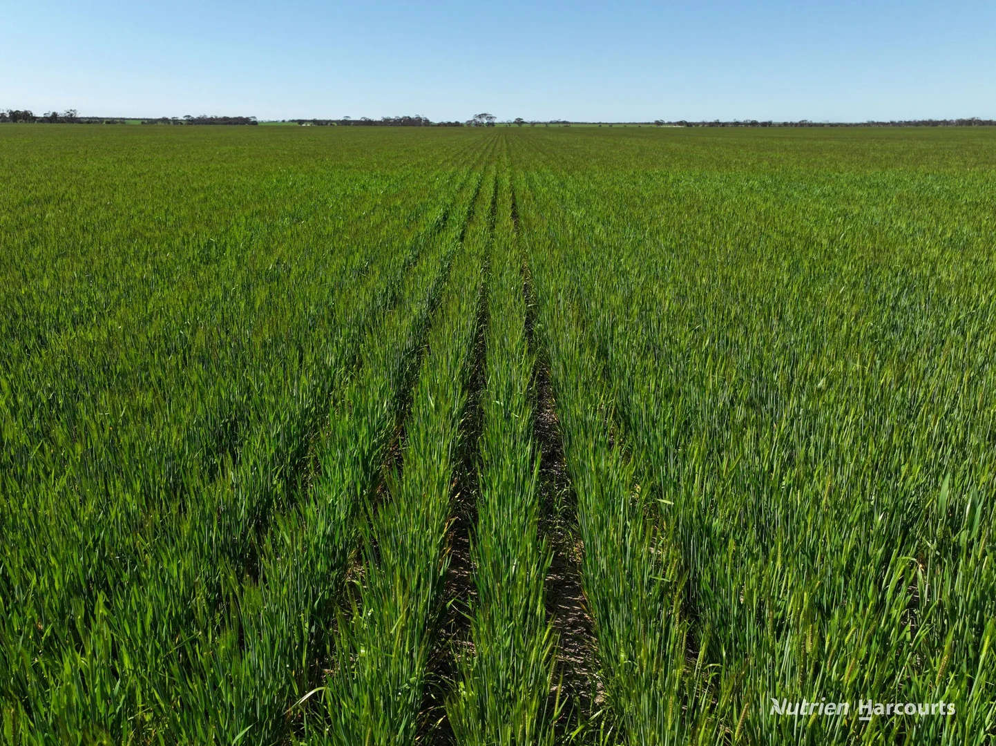 Additional image 11 of 1630 Mindarabin Road, Mindarabin WA 6336