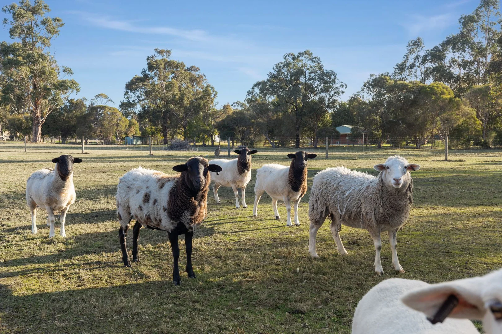 Additional image 25 of 84-88 Wattletree Road, Bunyip VIC 3815
