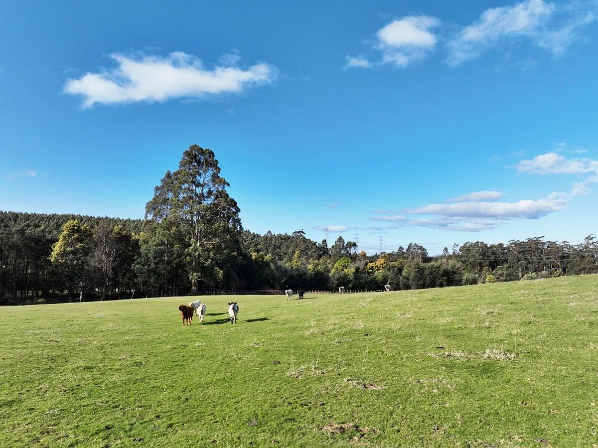 Additional image 25 of 148 Holmes Road, Roland TAS 7306