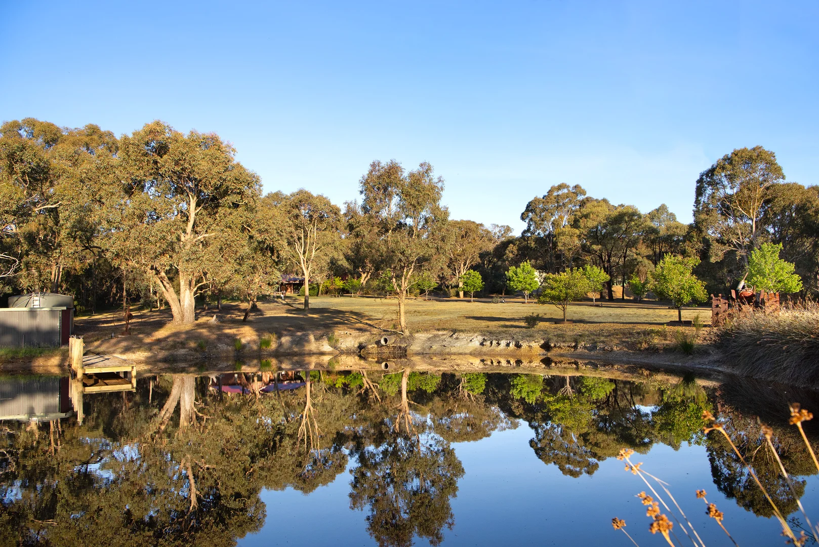 Additional image 26 of 1 Coy Street, Golden Point VIC 3451