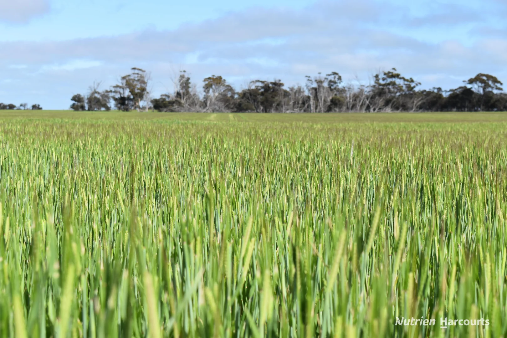 Additional image 15 of 1630 Mindarabin Road, Mindarabin WA 6336