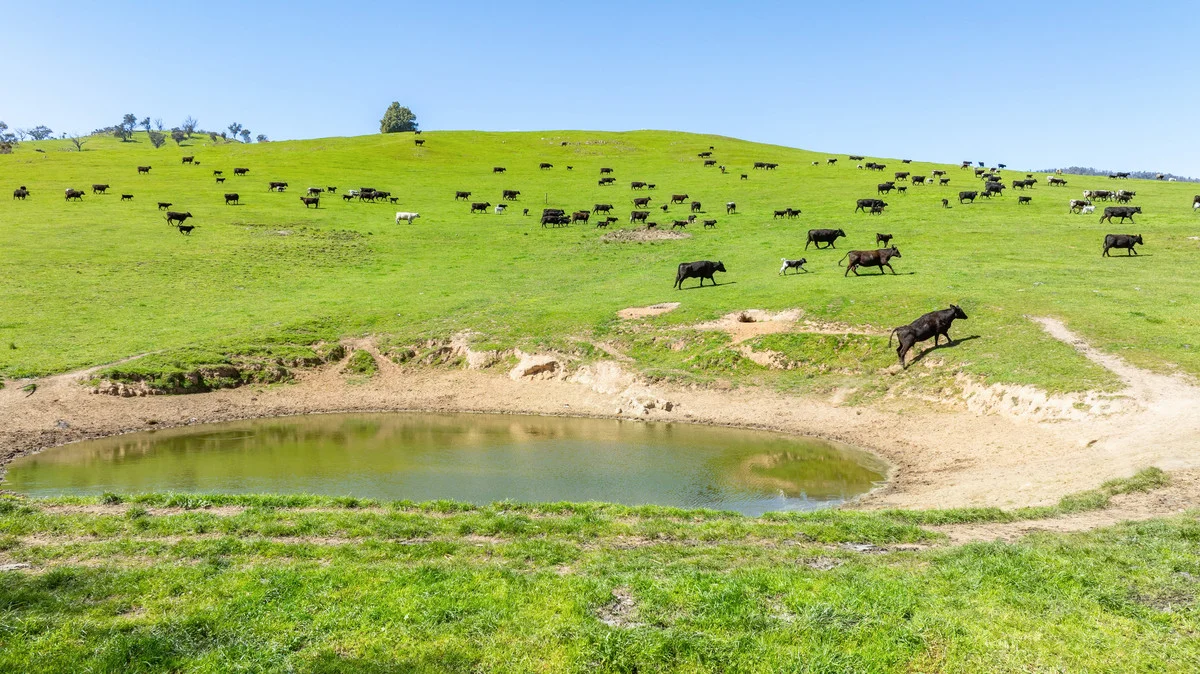 Additional image 29 of 12 Evans Road, Cudgewa VIC 3705