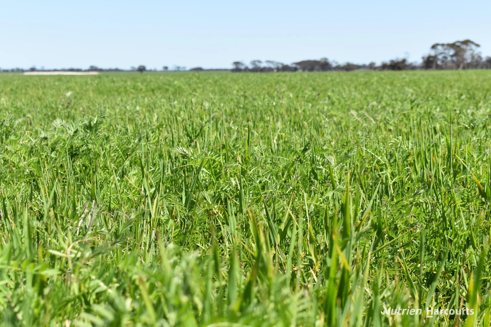 Additional image 20 of 1630 Mindarabin Road, Mindarabin WA 6336