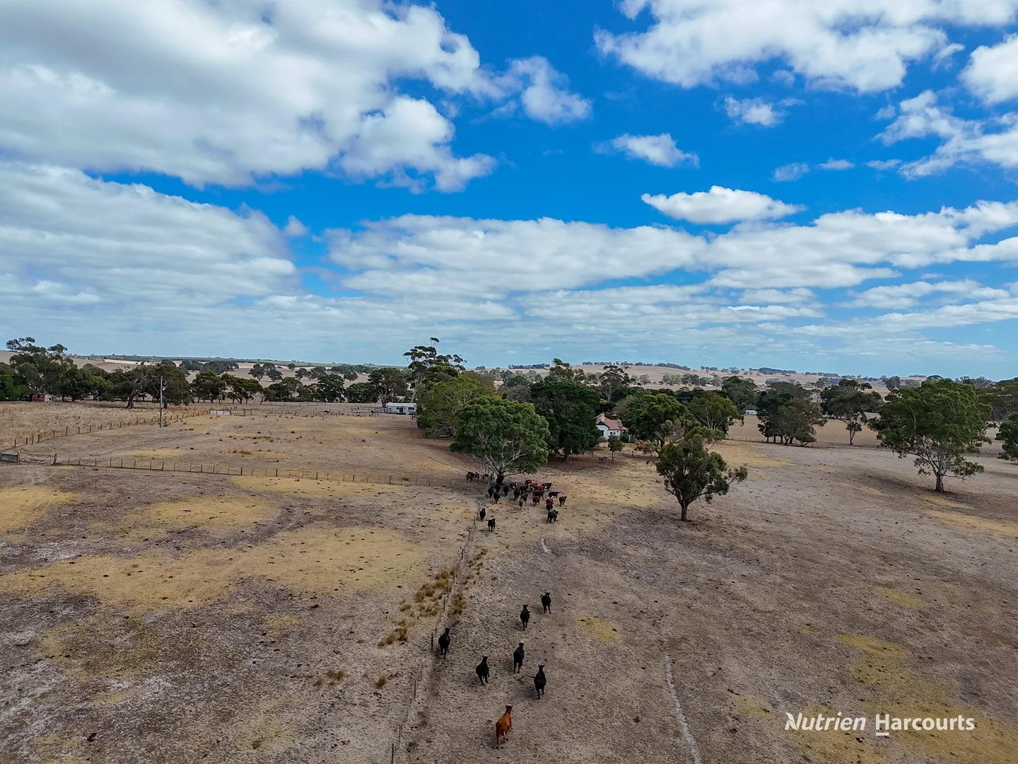 Additional image 15 of 138 Mcconachys Road, Henty VIC 3312