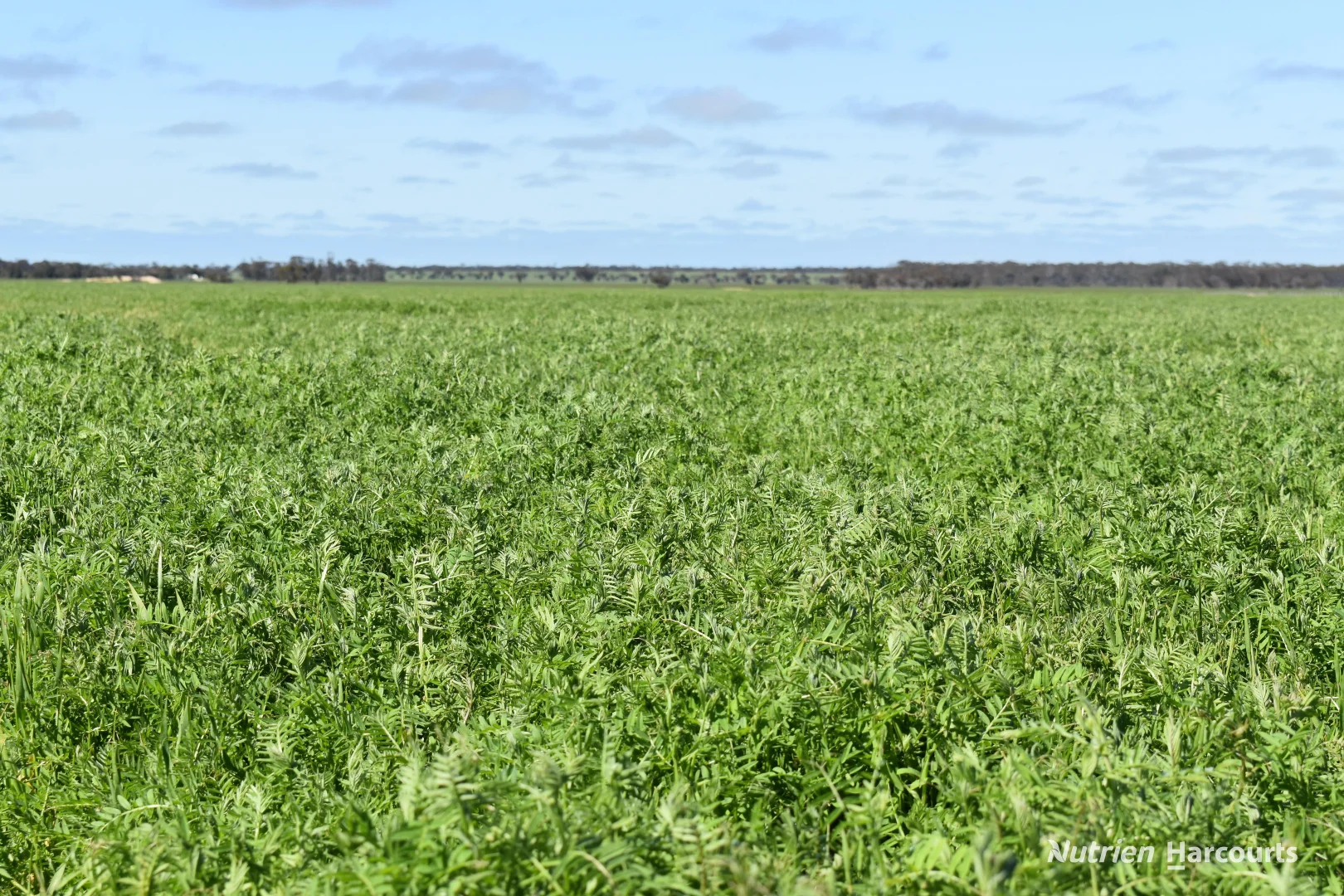 Additional image 12 of 1630 Mindarabin Road, Mindarabin WA 6336