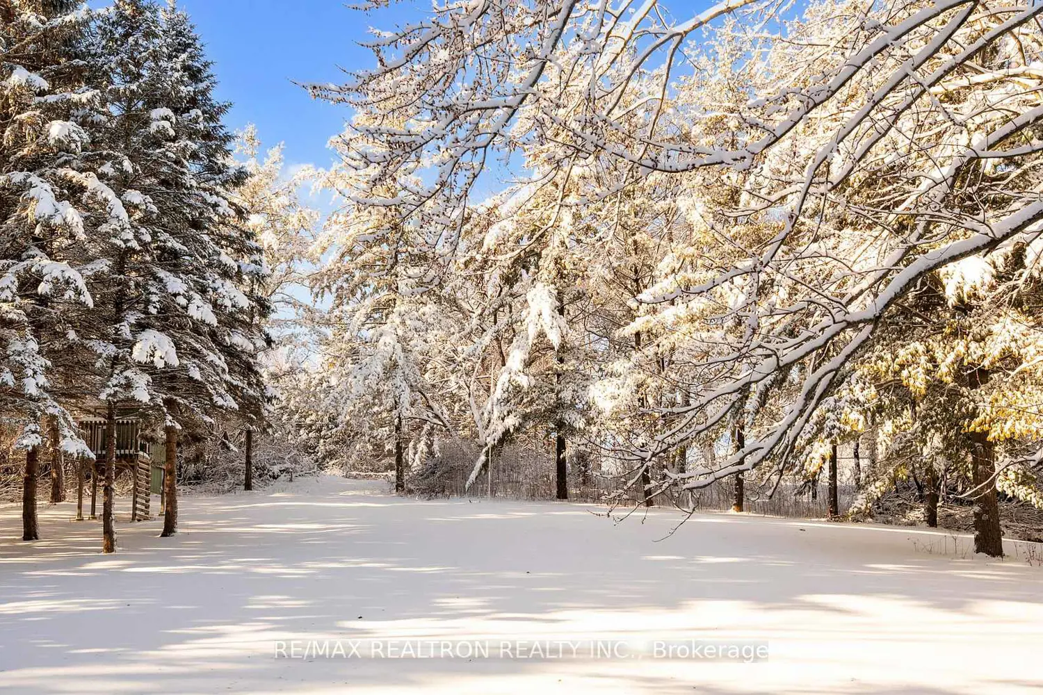 Additional image 14 of 8 Blue Grass Drive