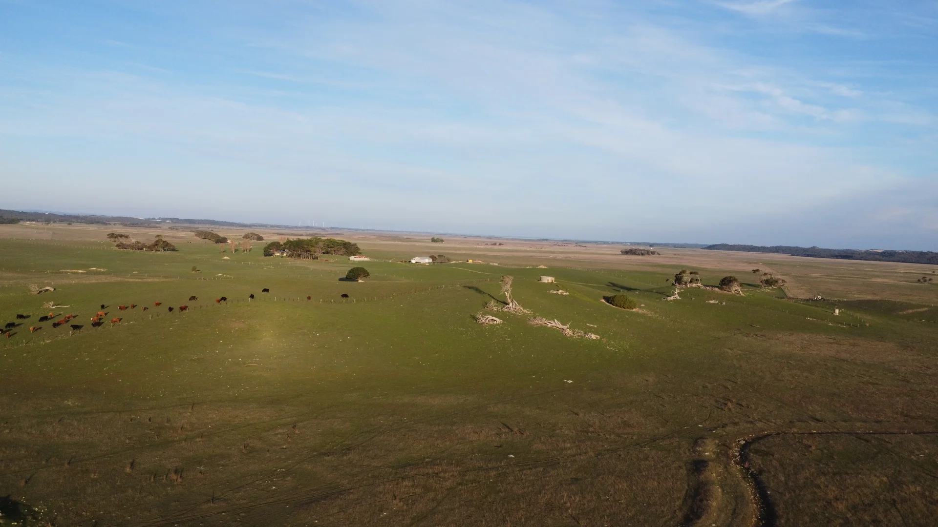 Additional image 18 of 175 Pethers Lane, Millicent SA 5280