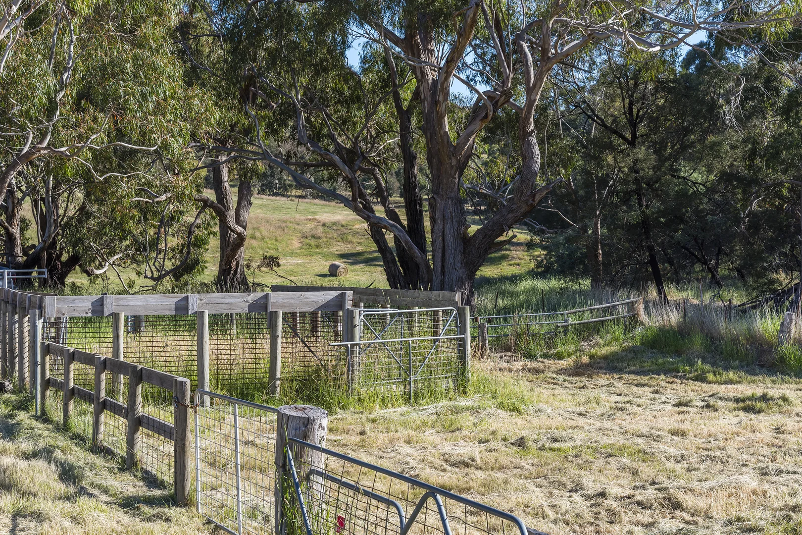 Additional image 13 of 679 Dallistons Road, Barfold VIC 3444