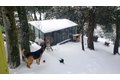 Additional image 28 of 2855 Heliotrope Dr, Julian, CA, 92036