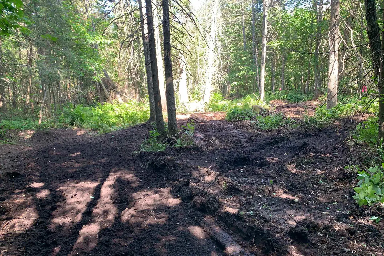 Additional image 4 of 522 Albert Street