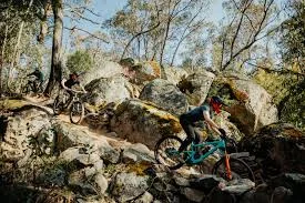 Additional image 10 of 150 Albury Street, Tumbarumba NSW 2653