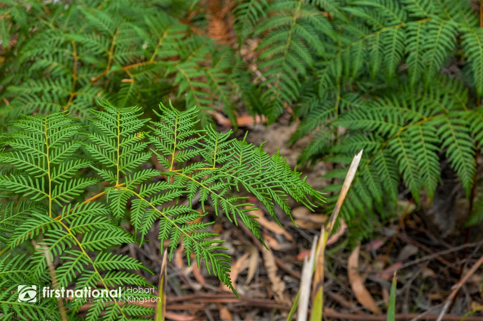 Additional image 14 of 110 Bruny Island Main Road, North Bruny TAS 7150