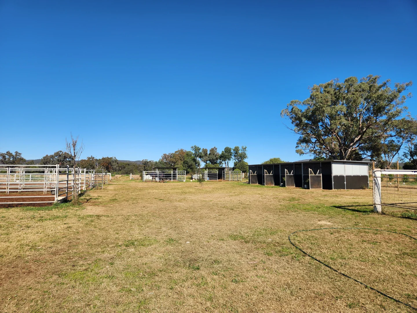 Additional image 20 of 164 Voca Rd, Curlewis NSW 2381