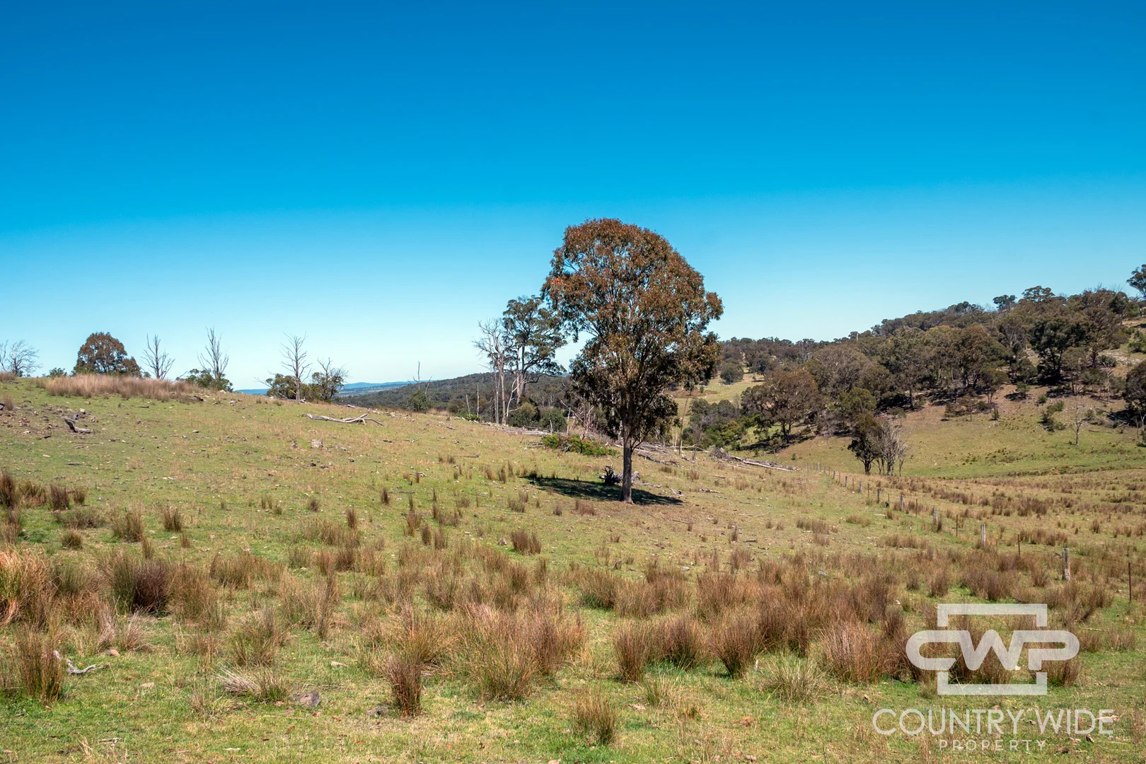 Additional image 17 of 11, - Ten Mile Rd, Deepwater NSW 2371