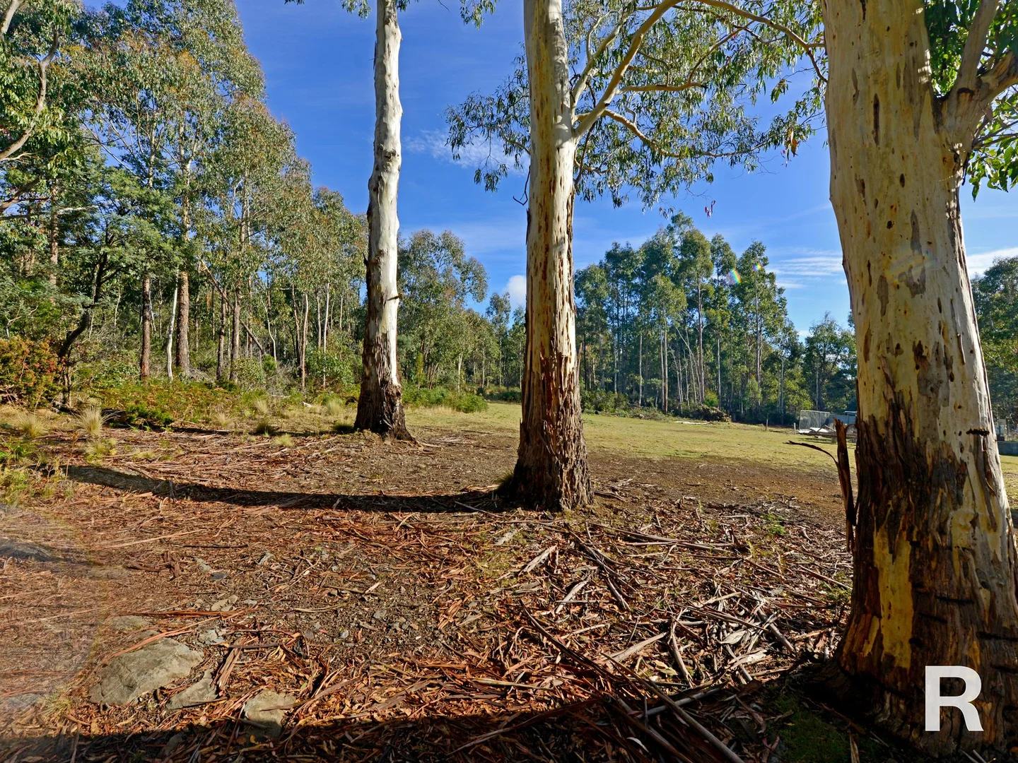 Additional image 23 of 222 Bradys Lake Road, Bradys Lake TAS 7140