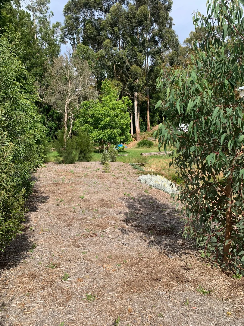 Additional image 6 of 50 WATTLE TREE ROAD, Bridgewater SA 5155