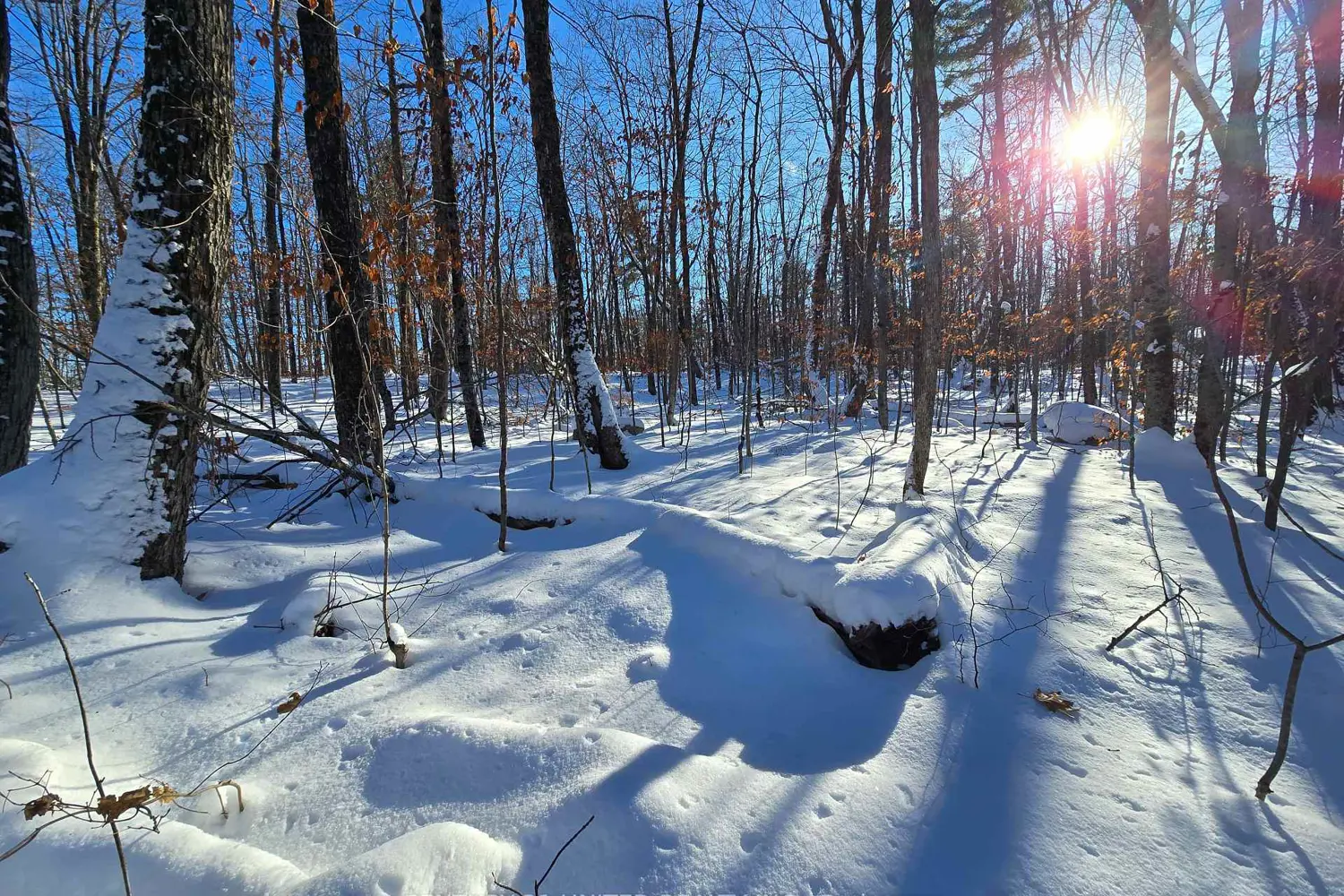 81 Vansickle Trail photo 5