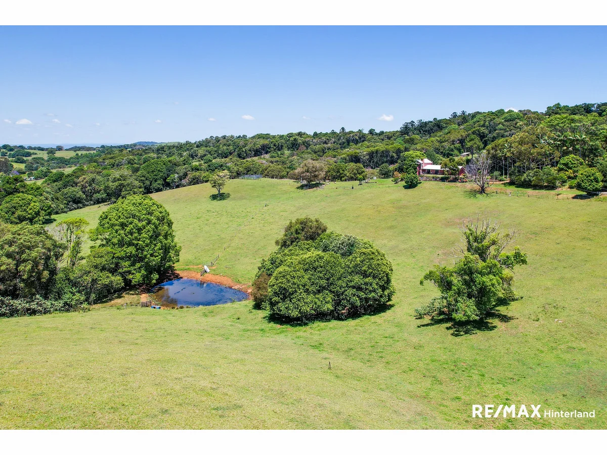 Additional image 43 of 143 Reesville Road, Reesville QLD 4552