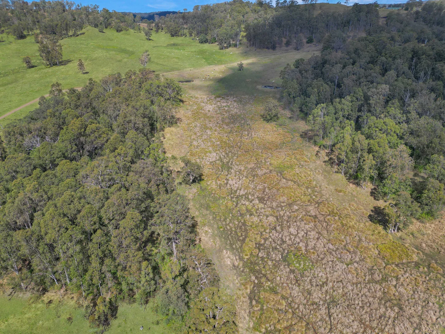 Additional image 15 of 55 Hancocks Road, Piora NSW 2470