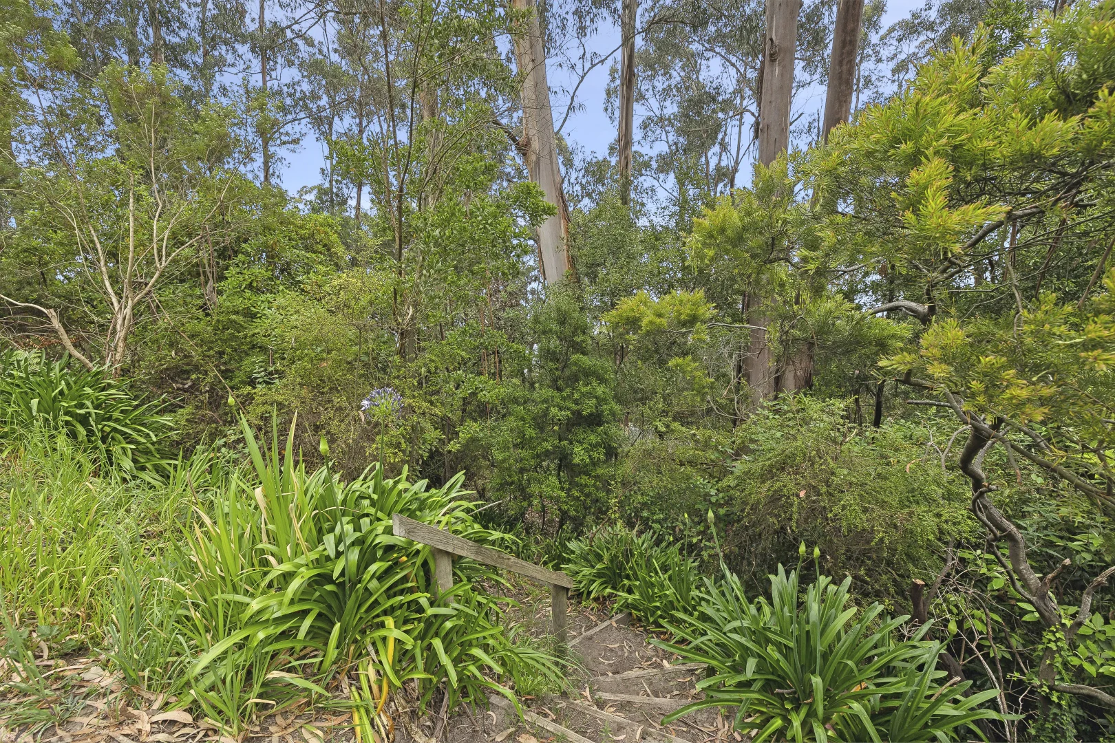 Additional image 3 of 6 Karingal Drive, Wye River VIC 3234