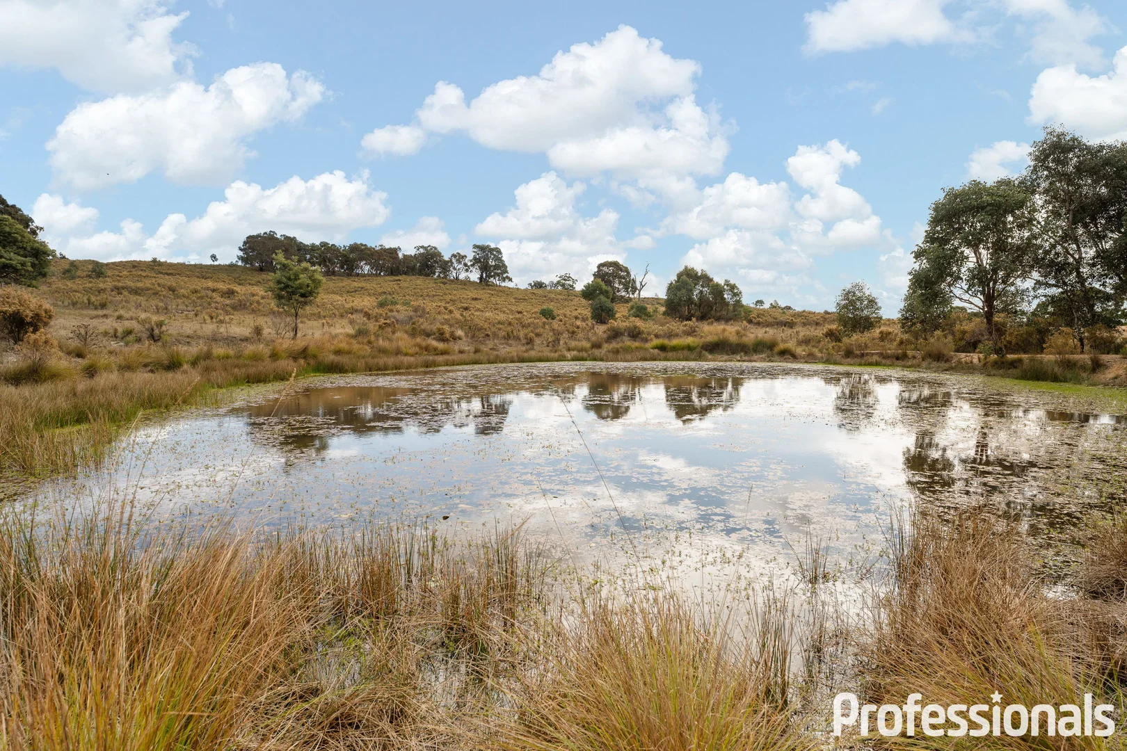 Additional image 20 of 2042 Hill End Road, Sallys Flat NSW 2850