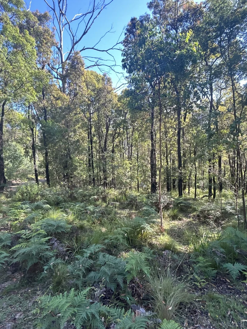 Additional image 6 of Lot 3 DP1128262 Yowrie Road, Yowrie NSW 2550