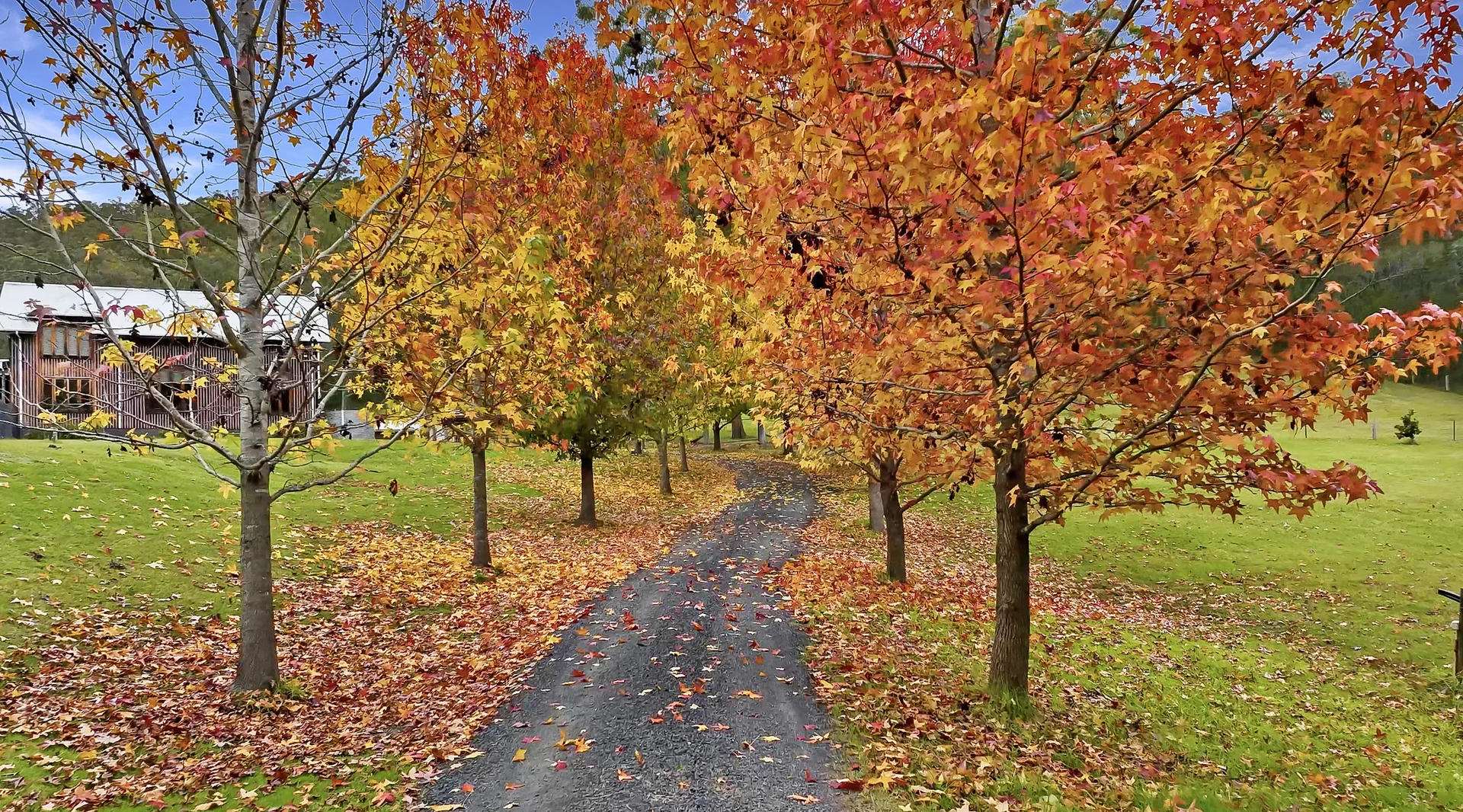 Additional image 4 of Laguna NSW 2325