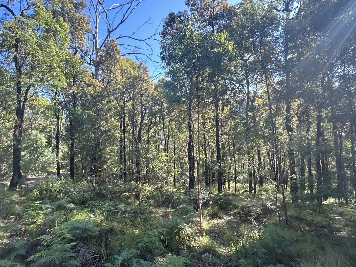Lot 3 DP1128262 Yowrie Road, Yowrie NSW 2550