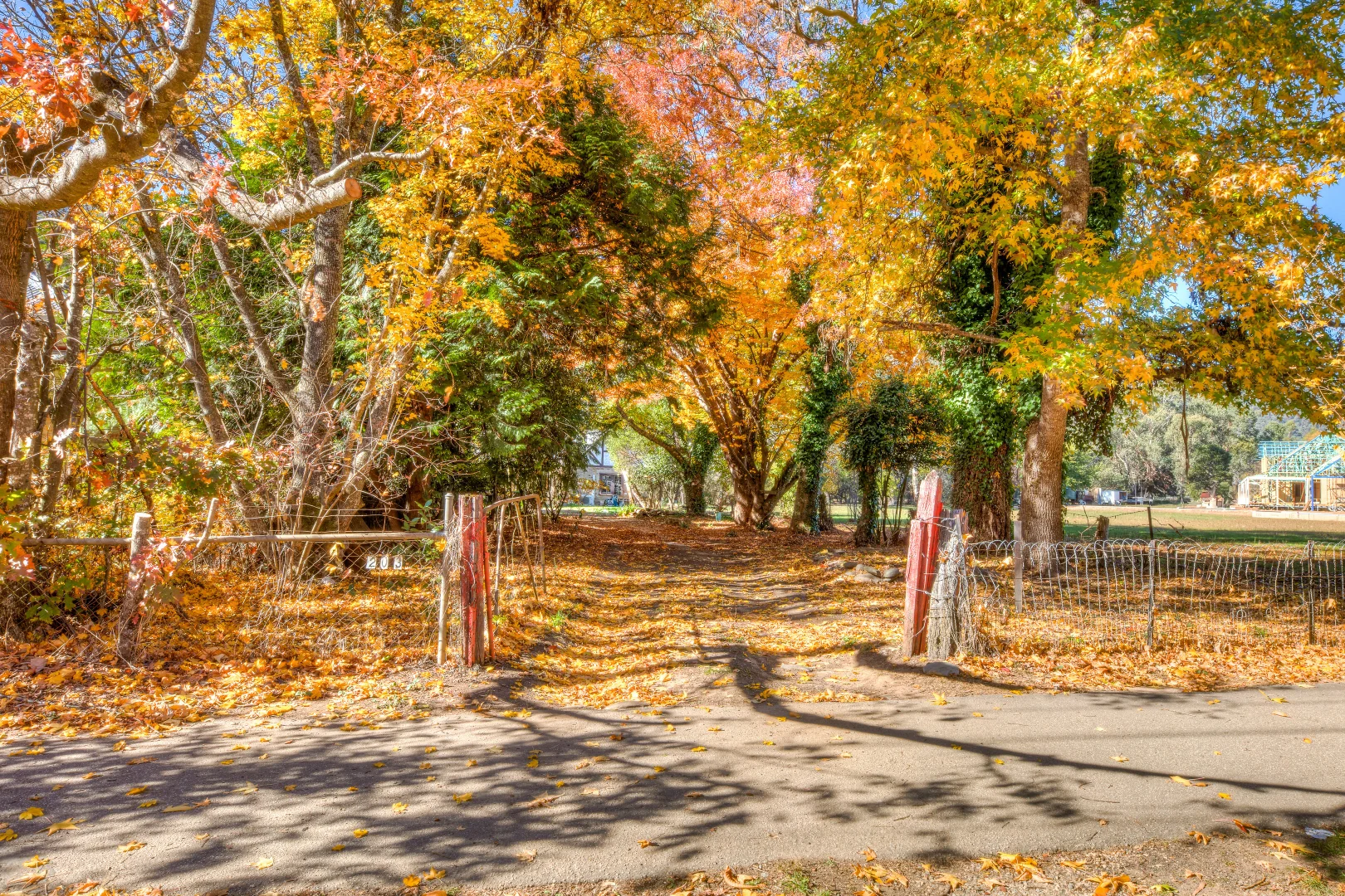 Additional image 23 of 203 Great Alpine Road, Harrietville VIC 3741