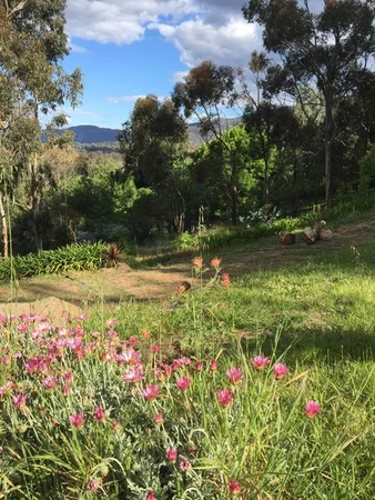 Additional image 36 of 8345 Goulburn Valley Highway, Seymour VIC 3660