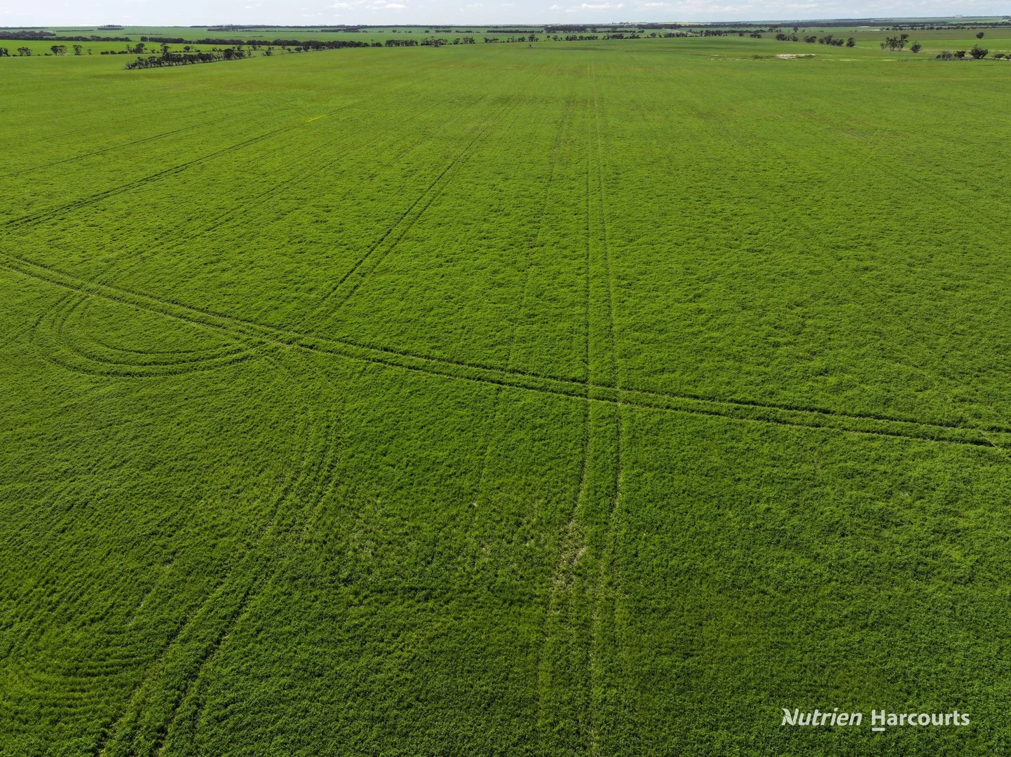 Additional image 4 of 1630 Mindarabin Road, Mindarabin WA 6336