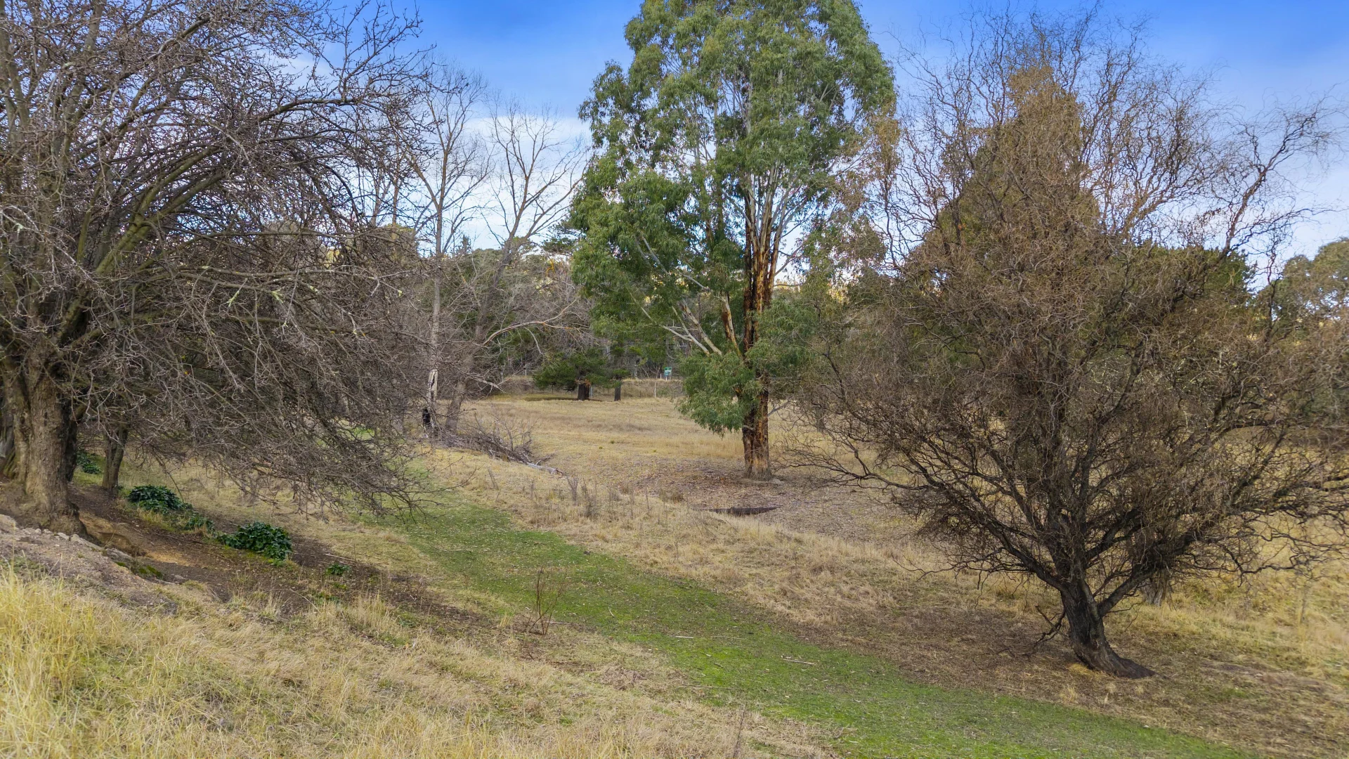 Additional image 22 of 1 Watson Avenue, Cullen Bullen NSW 2790