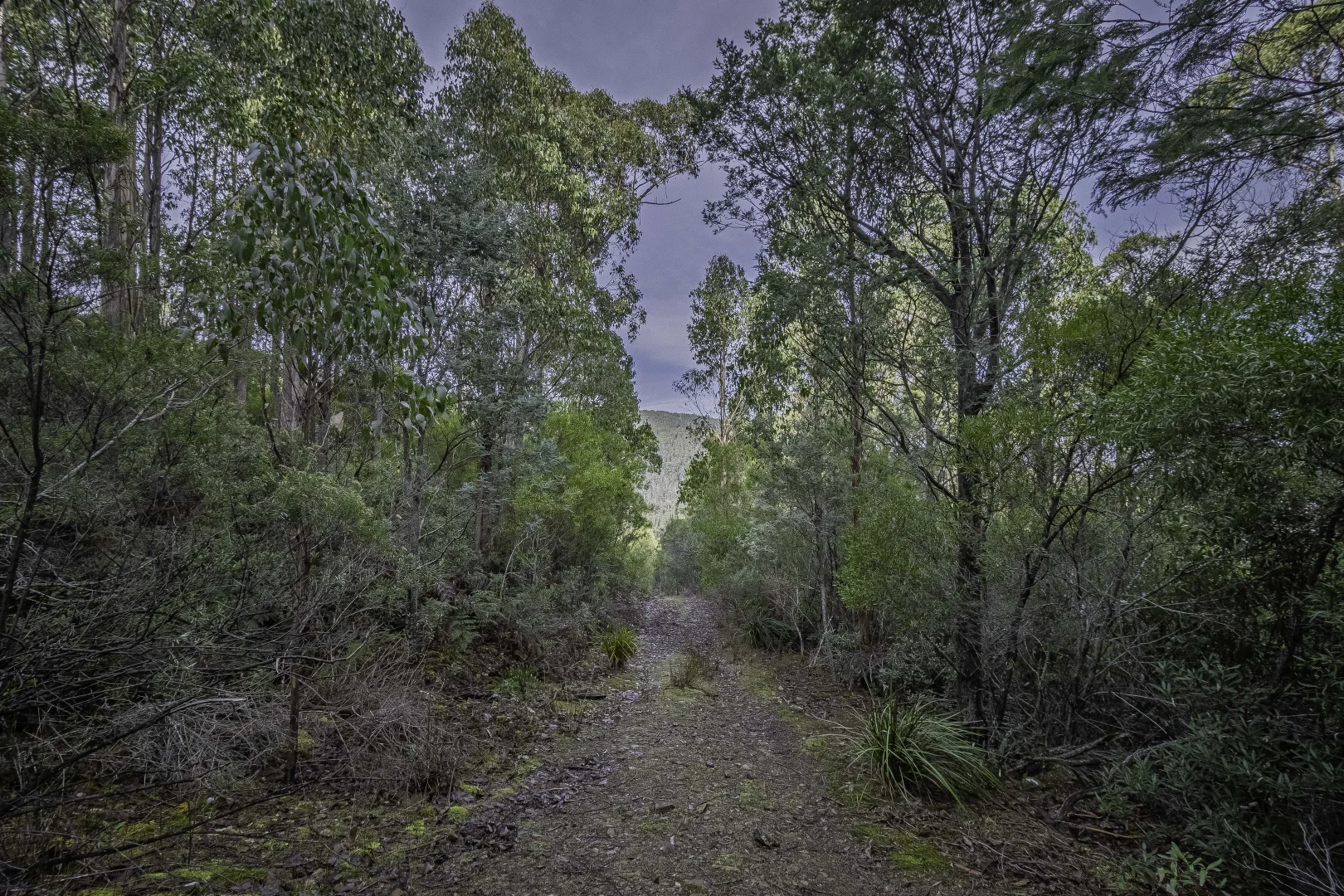 Additional image 13 of Judbury TAS 7109