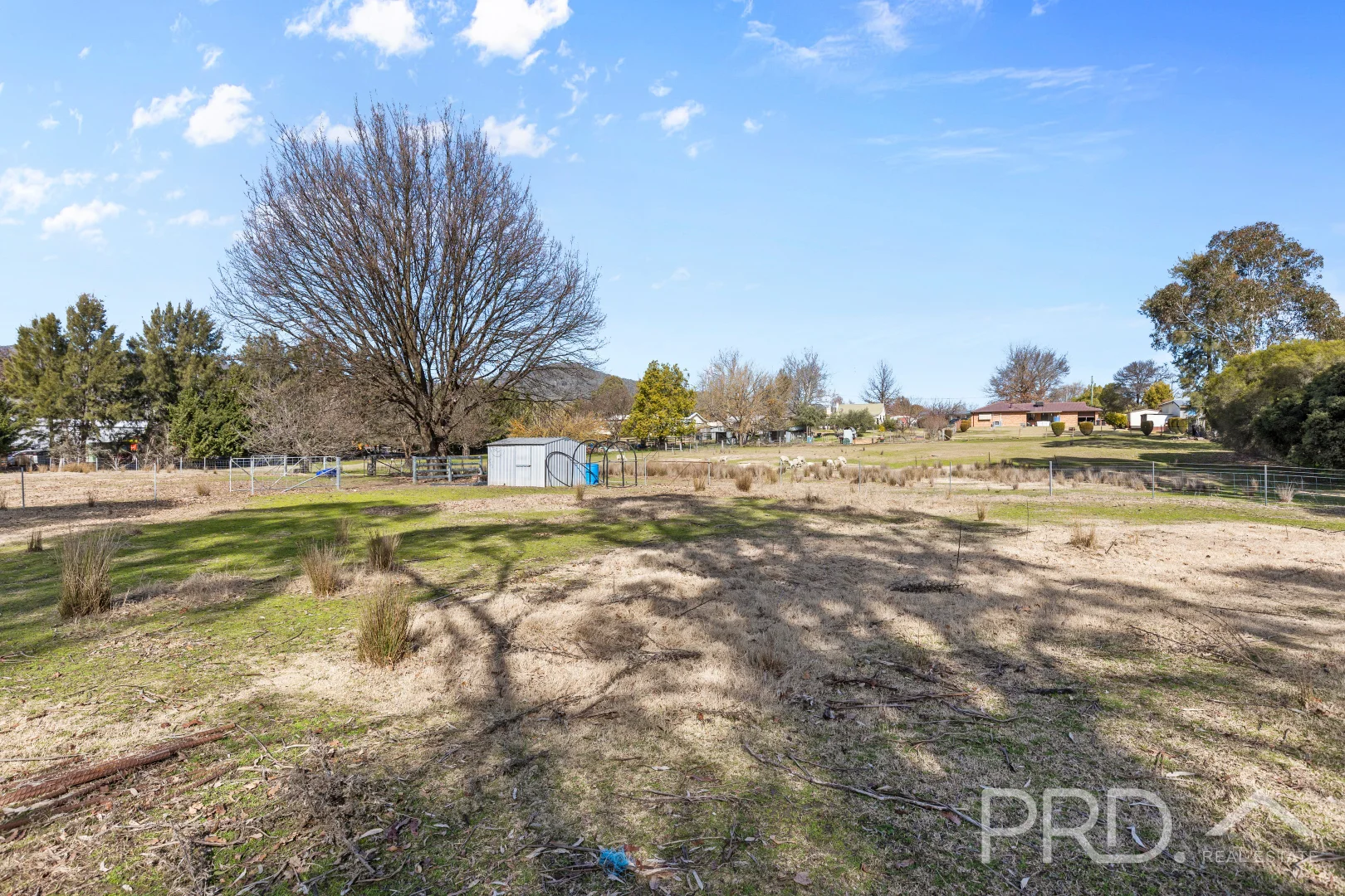 Additional image 19 of 6 Tumut Street, Adelong NSW 2729