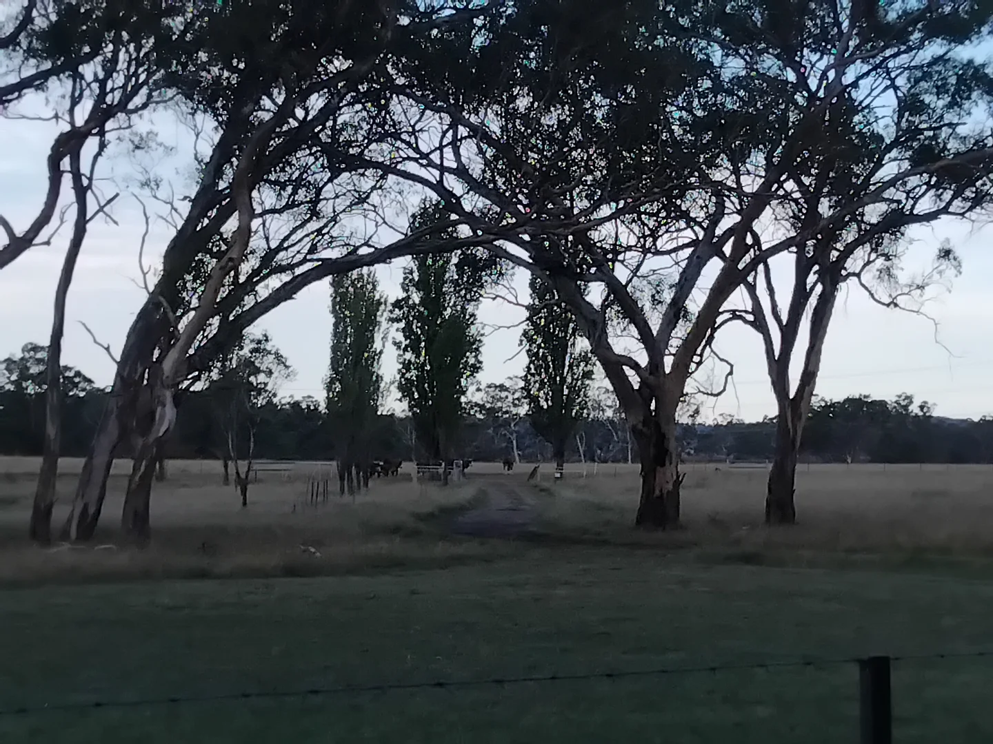 Additional image 8 of 131 Jindalee Road, Kings Plains NSW 2360