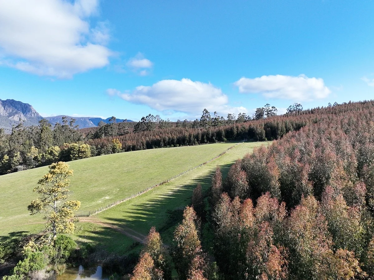 Additional image 4 of 148 Holmes Road, Roland TAS 7306